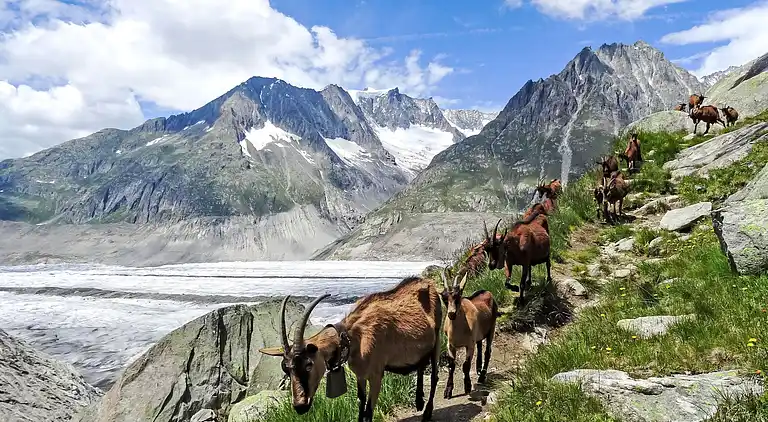 Holiday home in Ernen