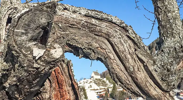 Holiday home in Ernen