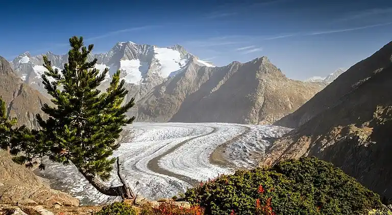 Holiday home in Fiesch