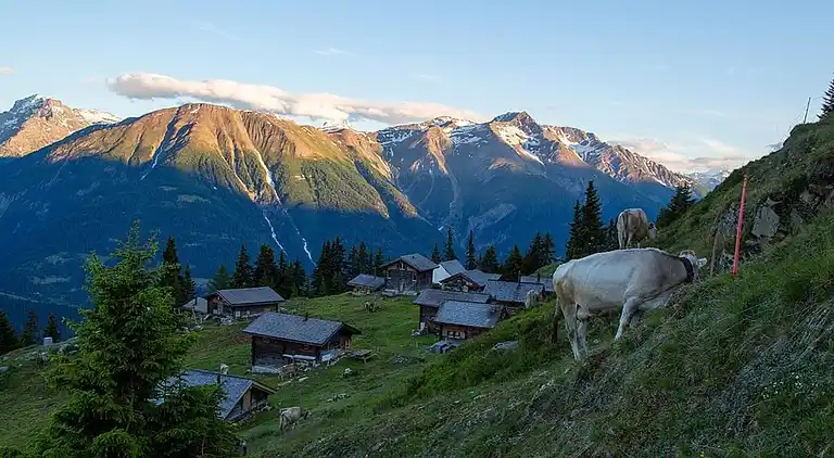 Holiday home in Fiesch