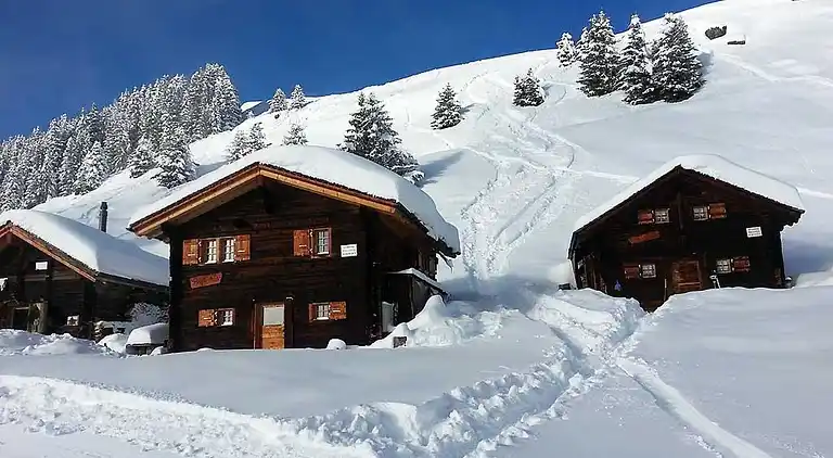 Holiday home in Fiesch