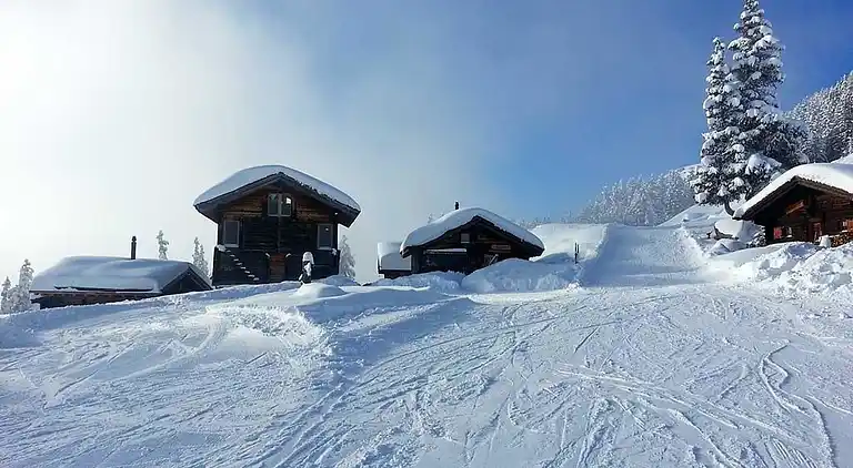 Holiday home in Fiesch