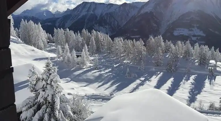 Vacation home in Riederalp