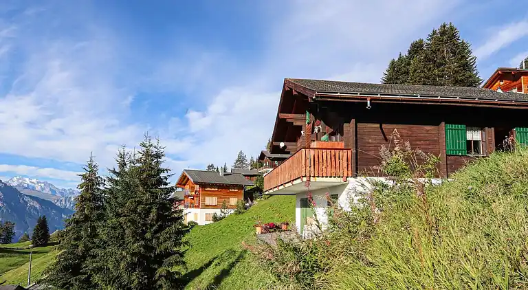 Vacation home in Riederalp