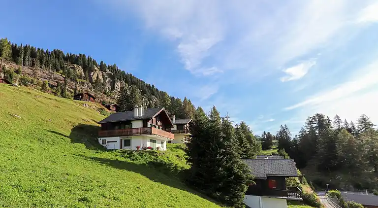 Vacation home in Riederalp