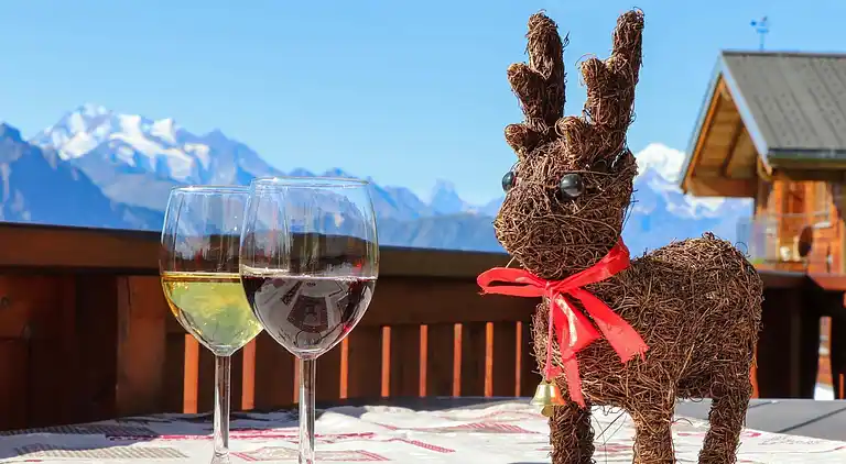 Vacation home in Riederalp