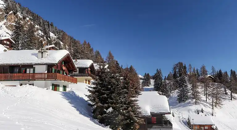 Vacation home in Riederalp