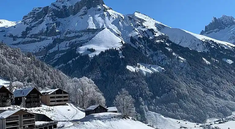 Feriebolig i Engelberg