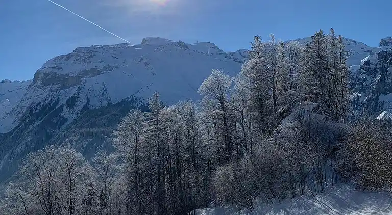 Feriebolig i Engelberg
