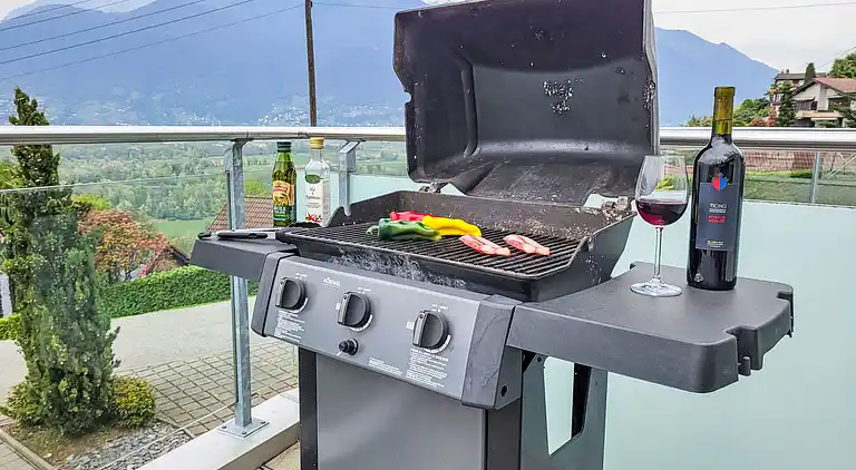 Holiday home in Magadino