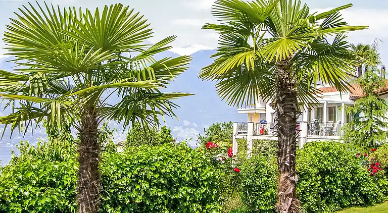 Holiday home in Piazzogna