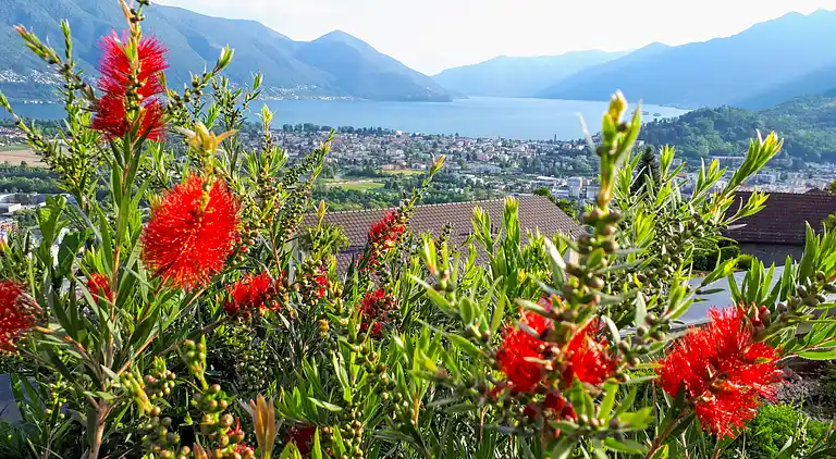 Vacation home in Locarno