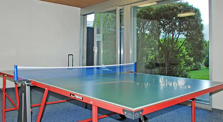 Vacation home in Locarno