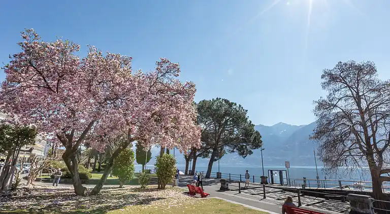 Feriebolig i Ascona