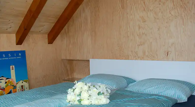 Holiday home in Minusio