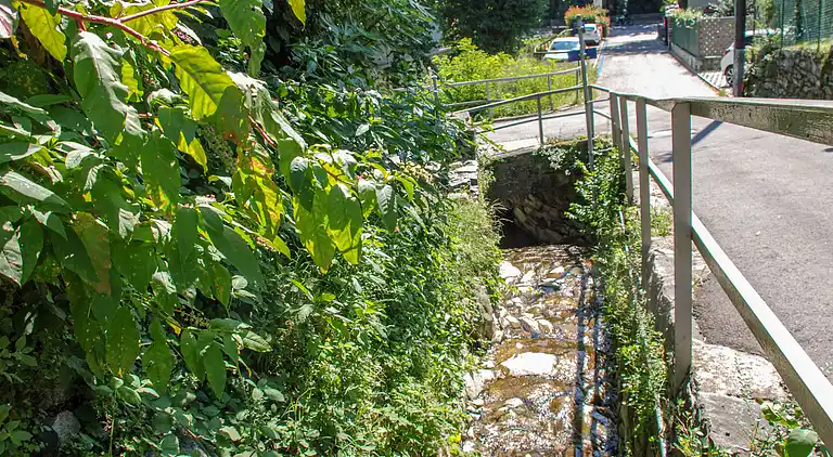 Holiday home in Minusio