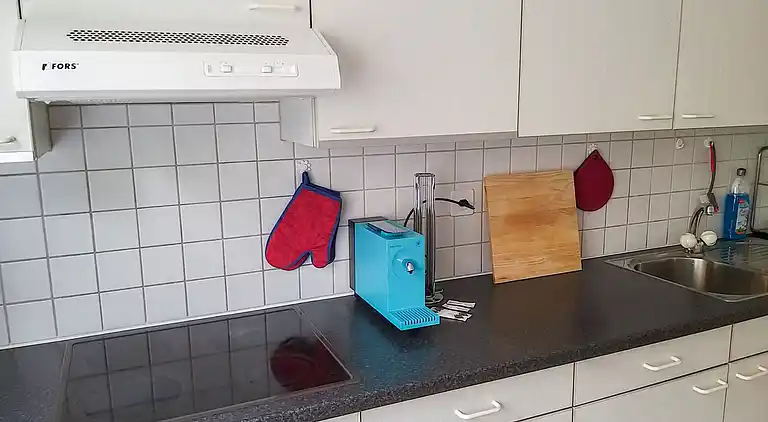 Holiday home in Minusio