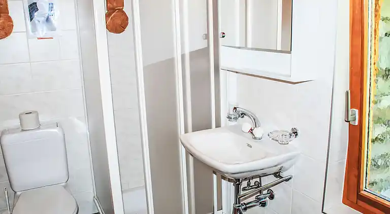 vakantiehuis in Malvaglia