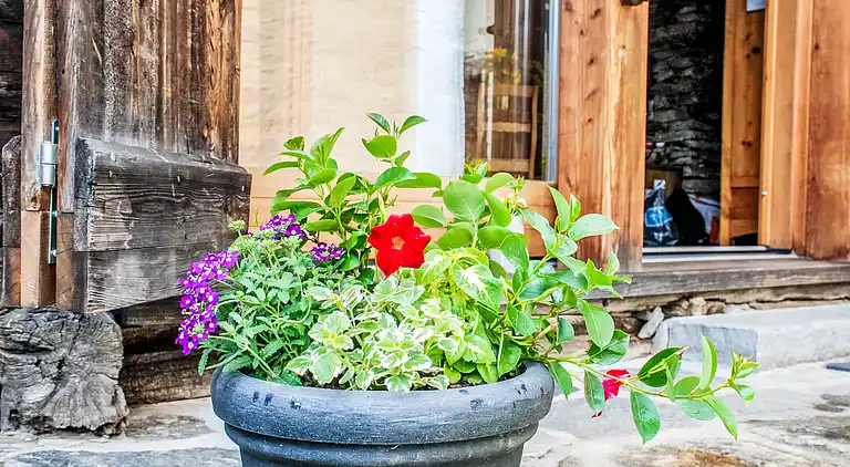 Holiday home in Malvaglia