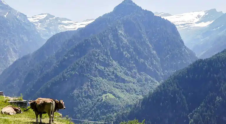 Holiday home in Malvaglia