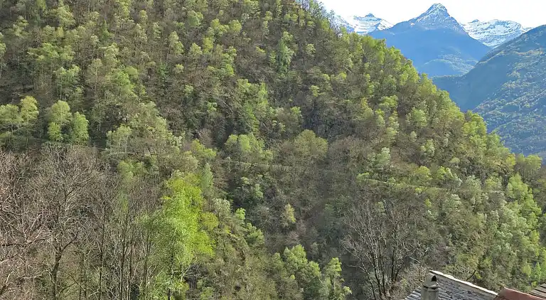 Holiday home in Malvaglia