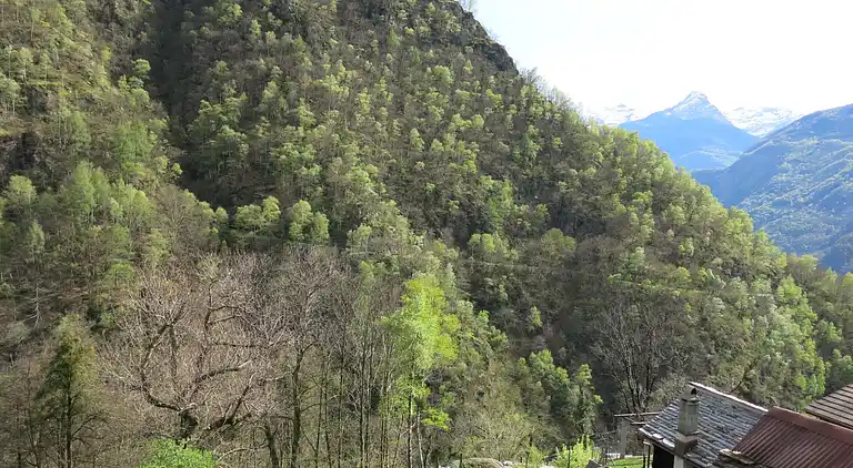 Holiday home in Malvaglia