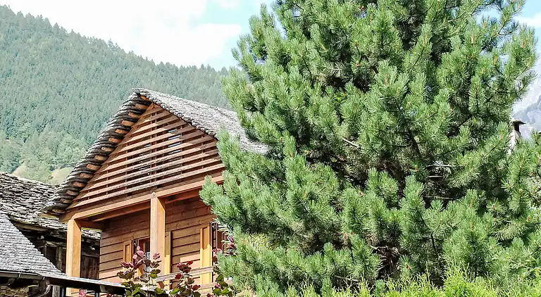 Holiday home in Malvaglia