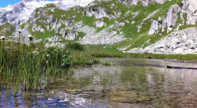 Holiday home in Malvaglia