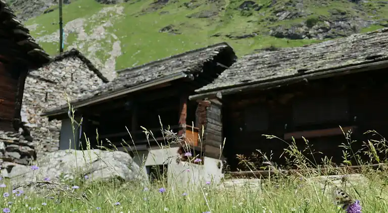 Holiday home in Malvaglia