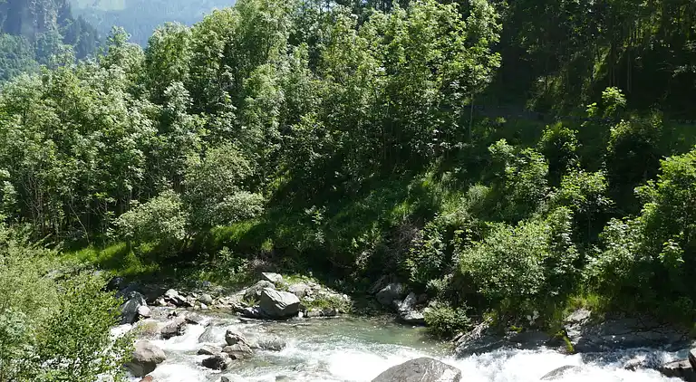 Holiday home in Malvaglia