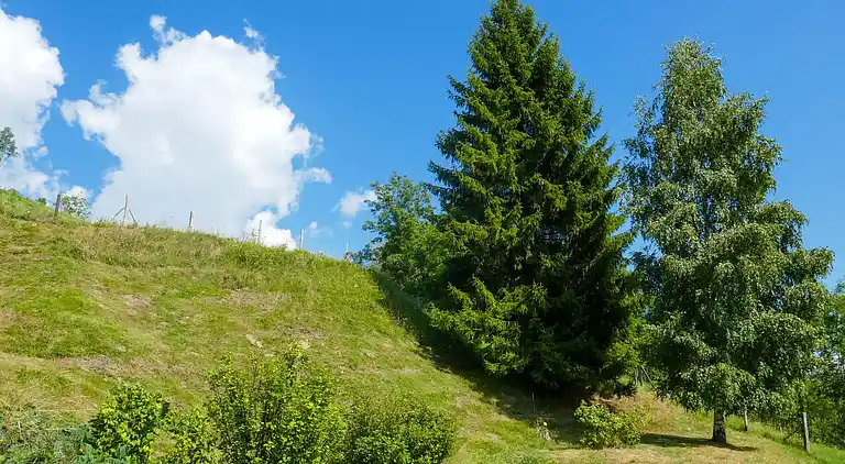 Feriebolig i Lottigna