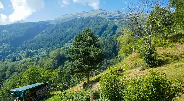 Feriebolig i Lottigna