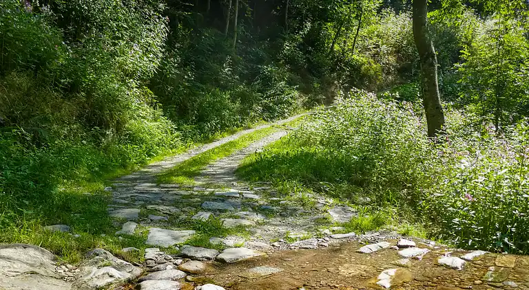 Feriebolig i Lottigna