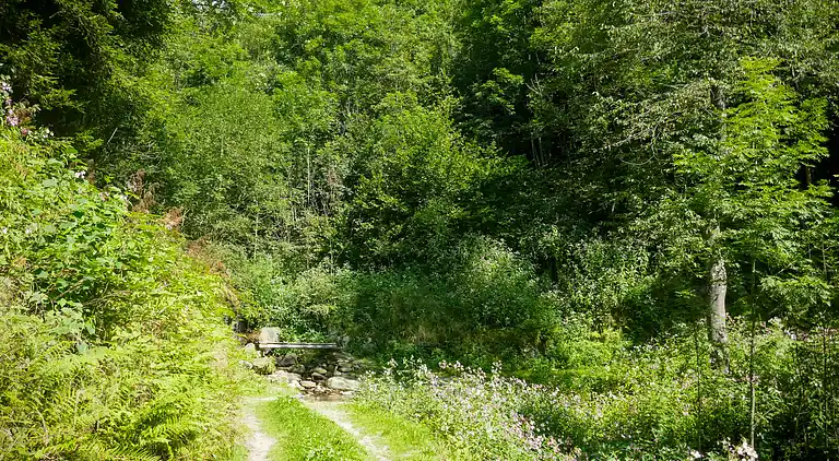 Feriebolig i Lottigna