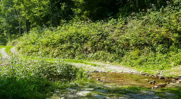 Feriebolig i Lottigna