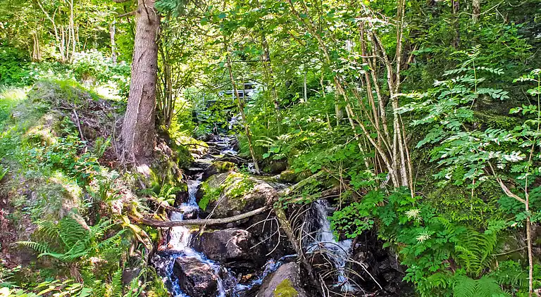 Feriebolig i Corzoneso