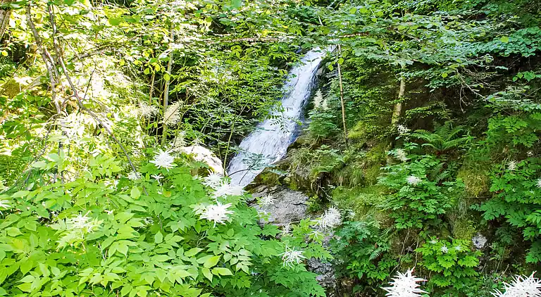 Feriebolig i Corzoneso