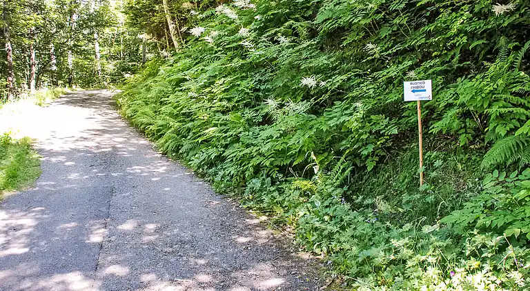 Feriebolig i Corzoneso