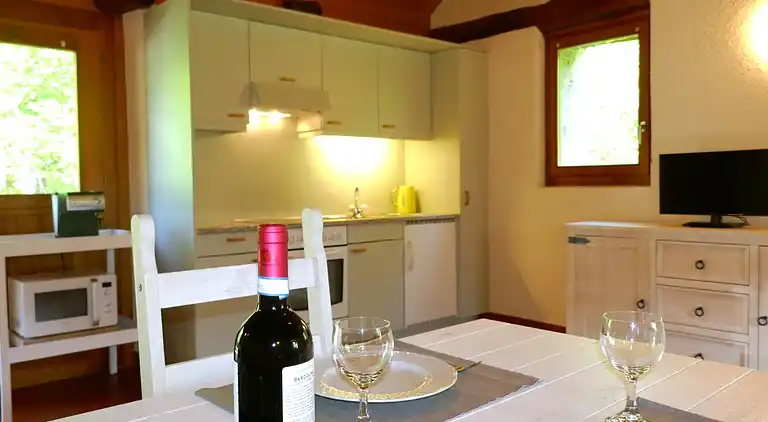 vakantiehuis in Acquarossa