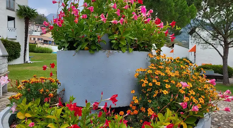 Feriebolig i Lugaggia