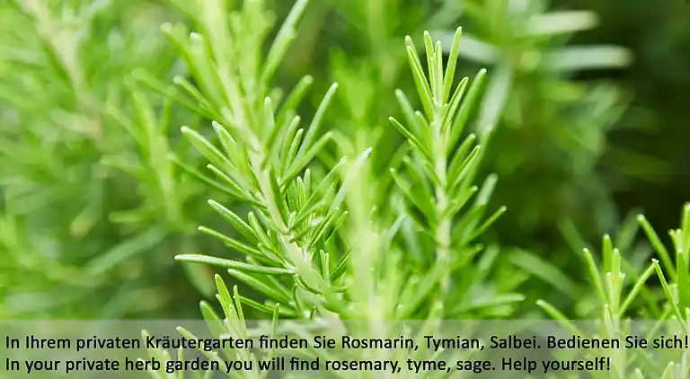 Vacation home in Davesco-Soragno