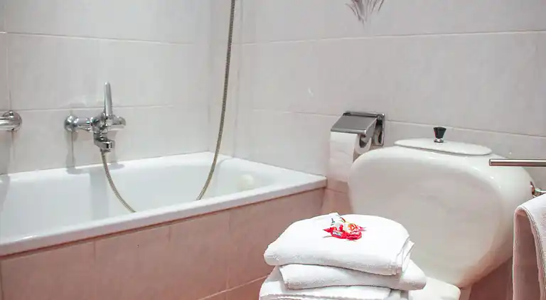 Feriebolig i Aldesago