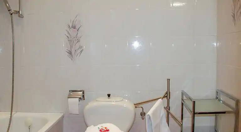 Feriebolig i Aldesago