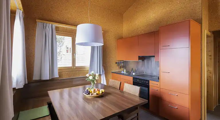 Holiday home in Urmein