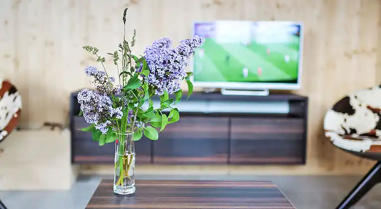 Holiday home in Urmein