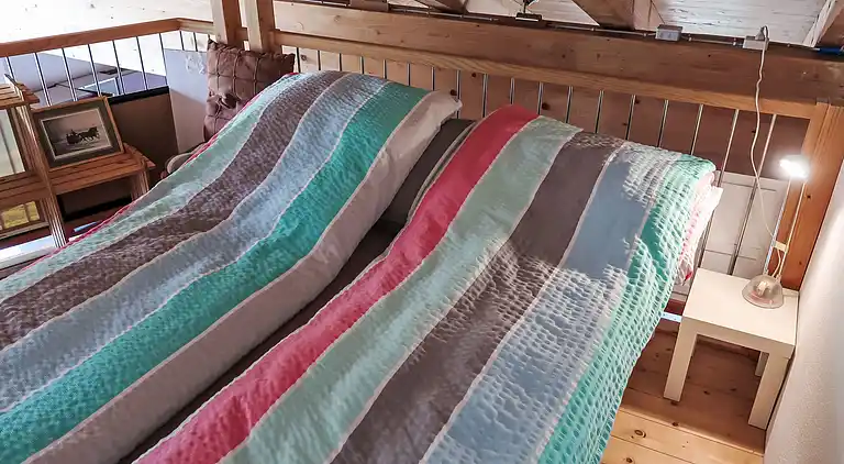 Holiday home in Zillis