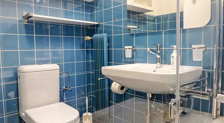 Feriebolig i St Moritz