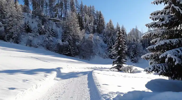 Semesterbostad i Tarasp