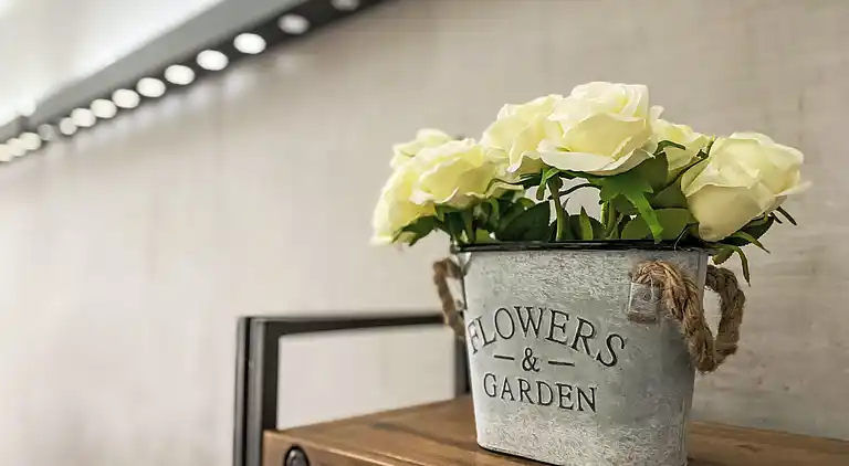 Ferienhaus in Prager Neustadt