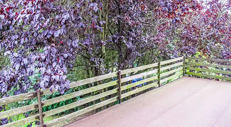 Feriebolig i Jestřebice